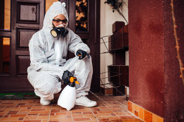 Reliable Cockroach Control contractor in Alamo, GA by Nex Pest Control